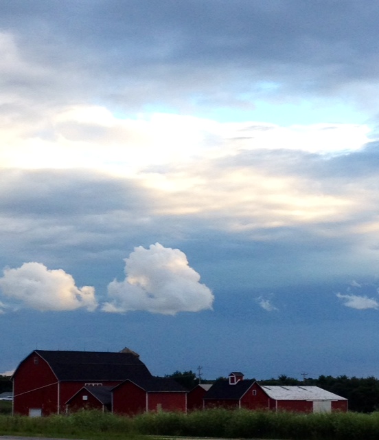 Polar Vortex - Mary Beth Guzzo